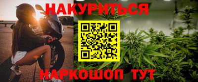 прущие грибы Новодвинск