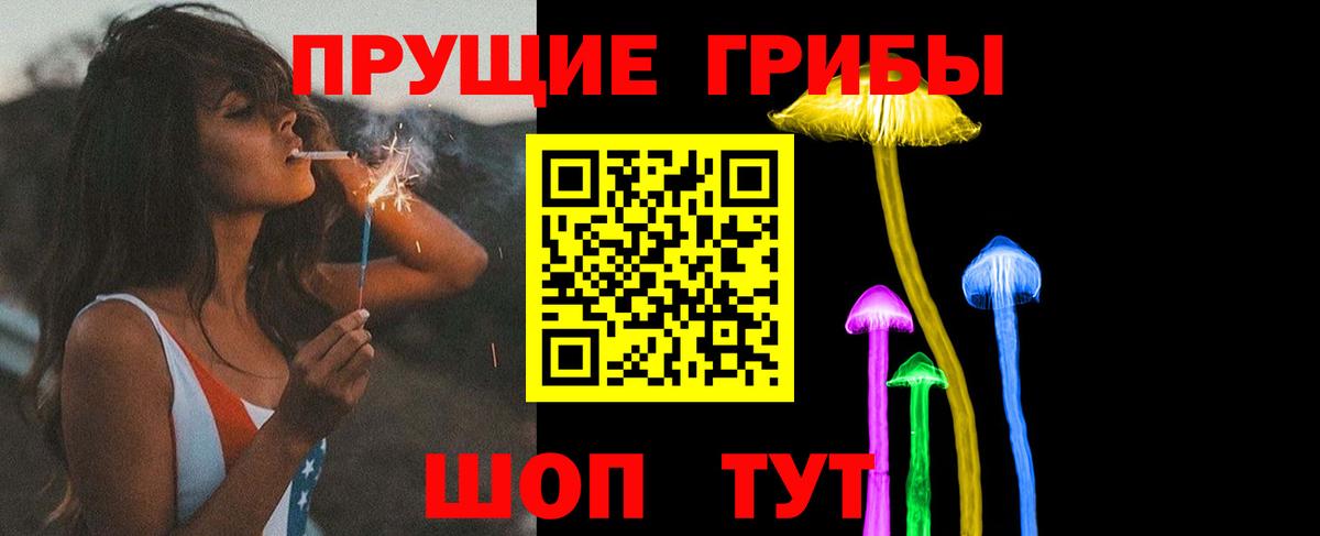 Тихвин  Псилоцибиновые грибы прущие грибы  Вход с VPN 