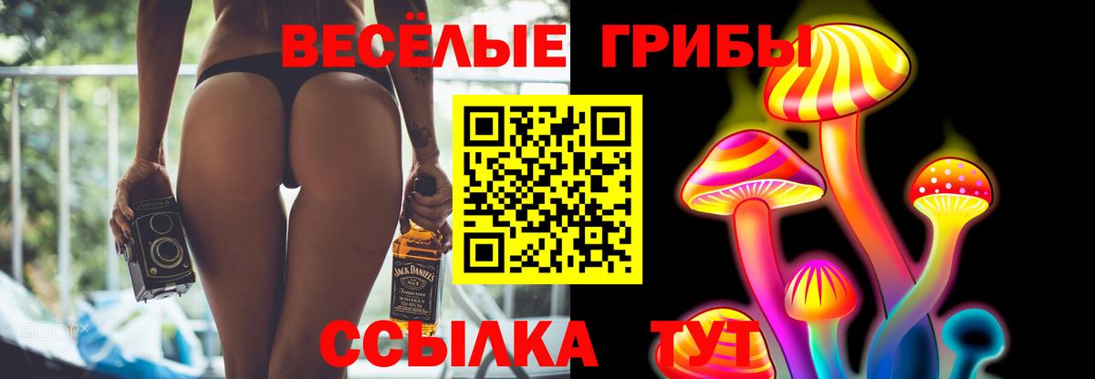 Галлюциногенные грибы Cubensis Тихвин