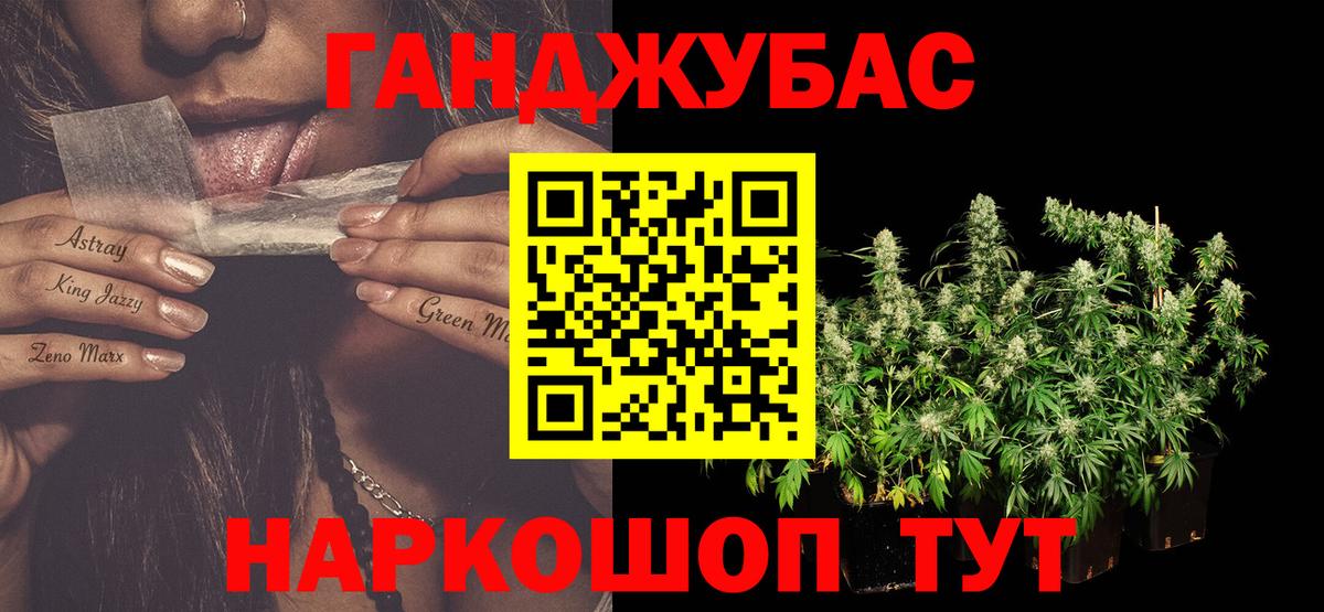 Бошки марихуана марихуана  Вход с VPN  Каннабис Amnesia  Тихвин  МАРИХУАНА Bruce Banner 